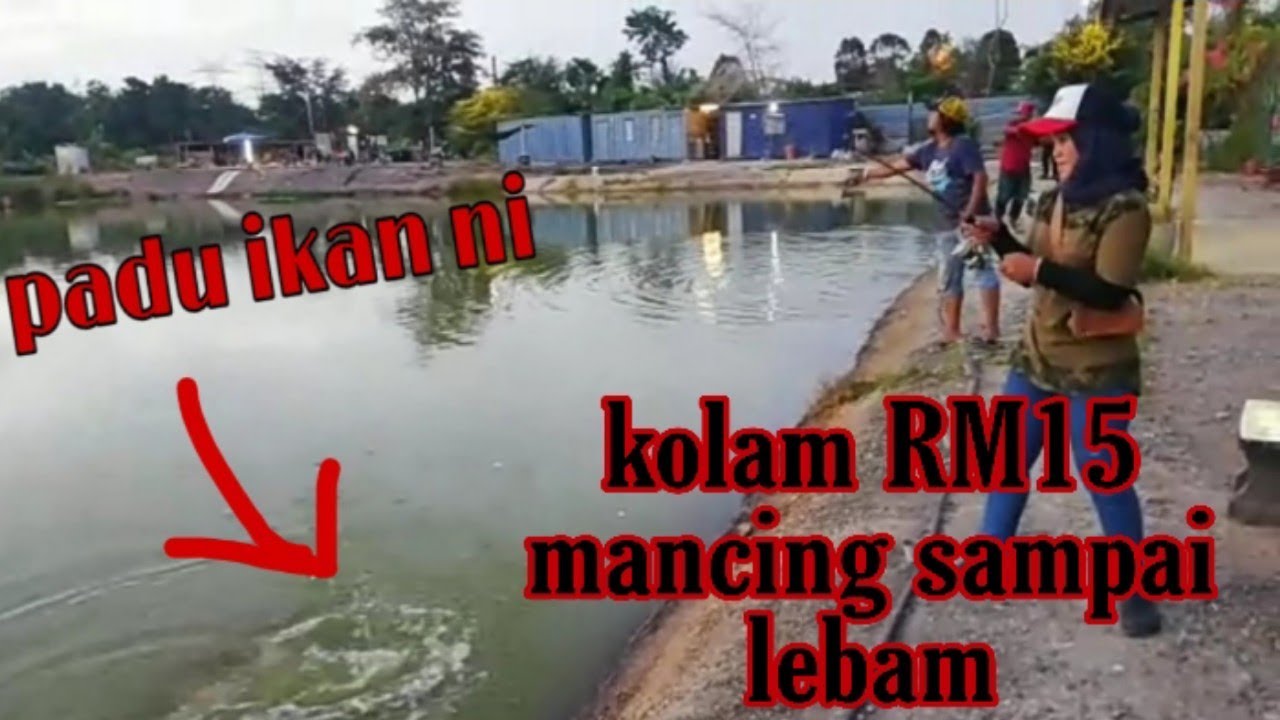 Mengolah Kijing Besar Air Tawar - Pengelolaan Ekosistem Air Tawar Antarkan Sunarto jadi Guru ...