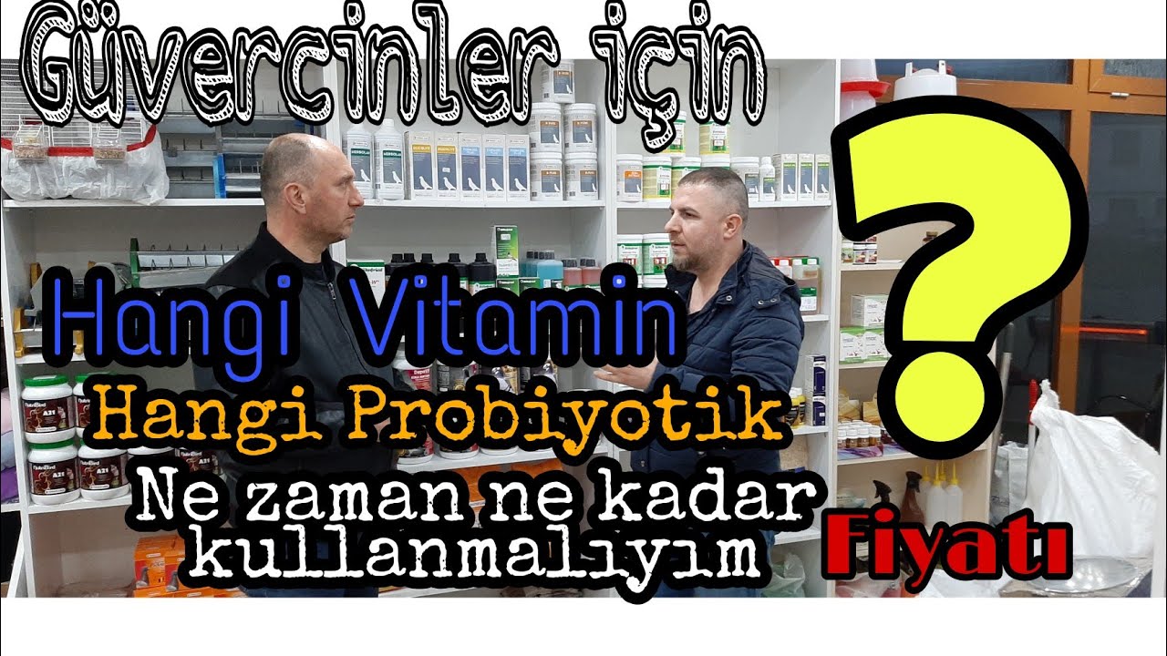 GÜVERCİNLER İÇİN VİTAMİN PROBİYOTİK VE DEZENFEKTANLAR İLE İLGİLİ GENELBİLGİLER