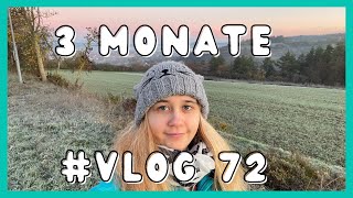 3-Monats-Vlog: CONTAINERN, Katzen, Amsterdam & SKI fahren 😍 #Vlog 72