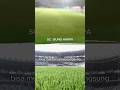 RUMPUT TIDAK BANYAK BERUBAH DARI SEBELUMNYA ?!? #shortsvideo #kualifikasipialadunia2026 #pssi