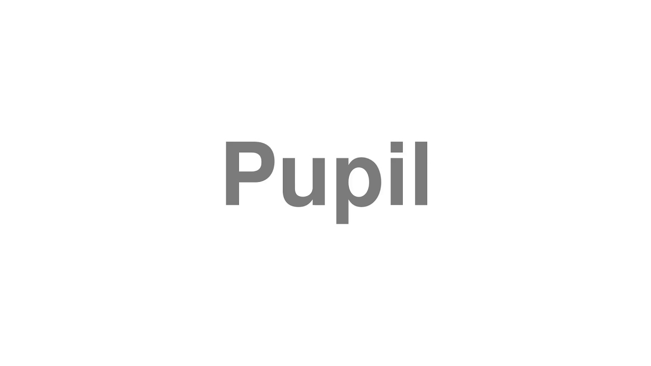 How To Pronounce Pupil YouTube how-to-pronounce-pupil-youtube