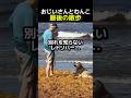 おじいさんとわんこの最後の散歩