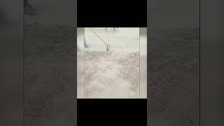 Military Monday Motivation