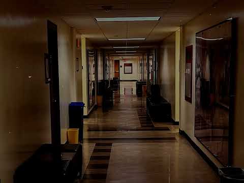 Sincere Vacancy — "Serene Velocity" remade at USF Tampa