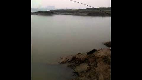 câu cá chép khủng ở sông hồng