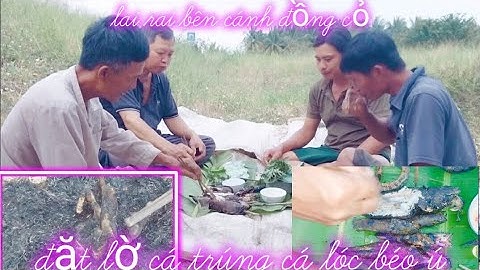 Tập 21: Đặt Lờ Cá Trúng Cá Lóc Béo Ú | Cá Lóc Nướng Rơm Thơm Lừng, Giải Cứu Cá Mắc Cạn Quê