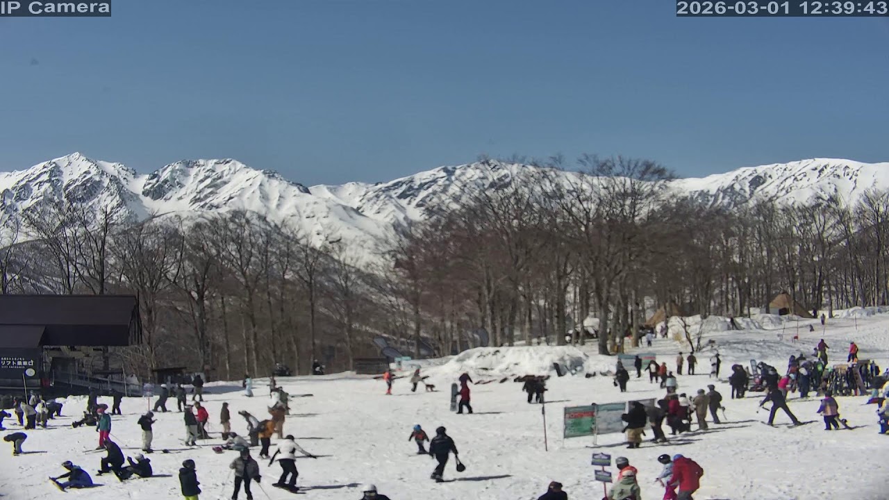 Camera 白馬岩岳マウンテンリゾート - 2026-03-01 10:46