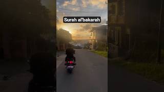 pemandangan kampung yg begitu sejuk. #vidioshort #suasanakampung