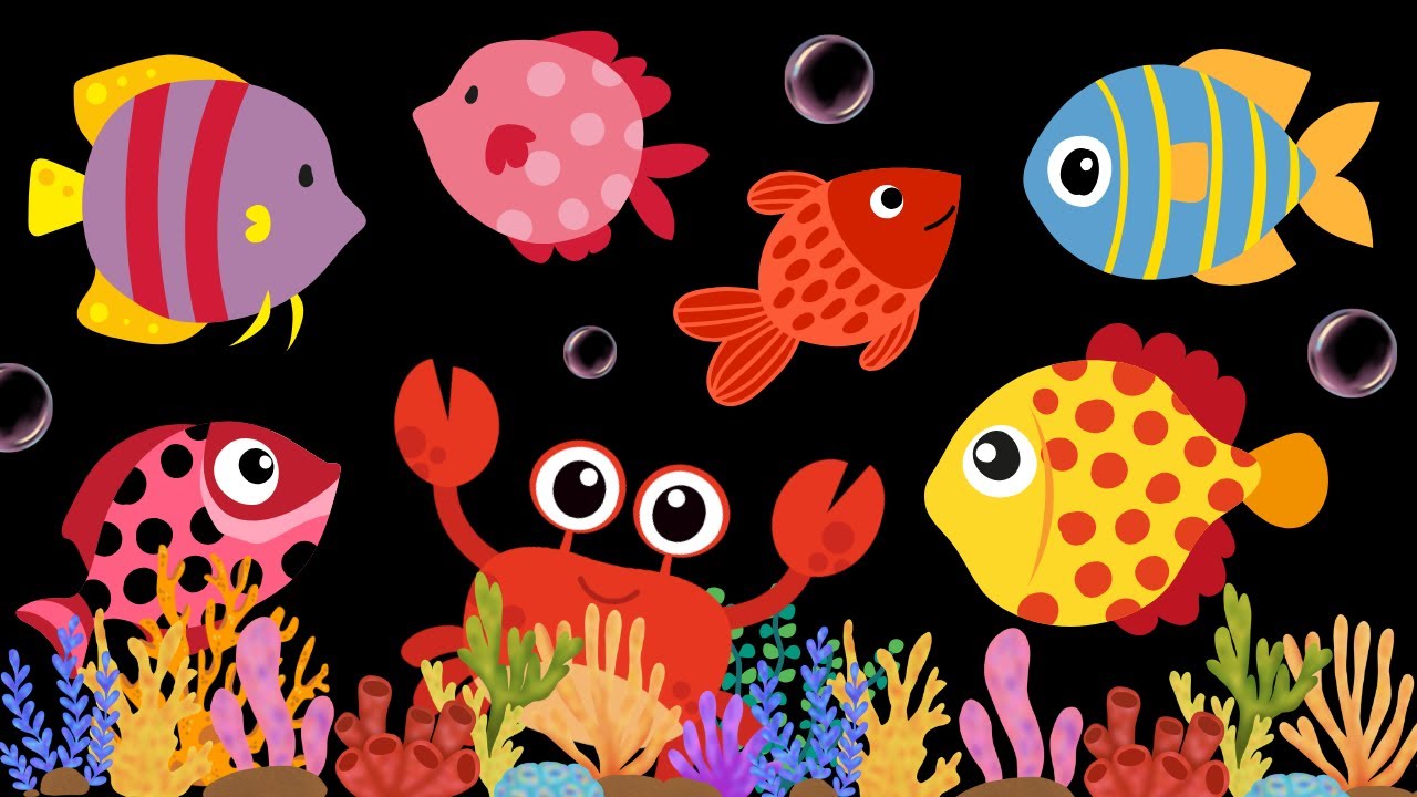Baby Sensory Video - Visual Stimulation for Newborn - Tummy Time - Sensory Videos for Babies #baby