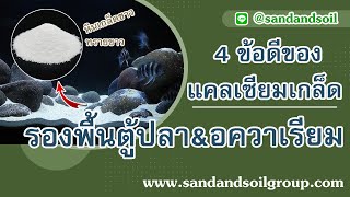 4 ข้อดีของแคลเซียมเกล็ดใช้รองพื้นตู้ปลา