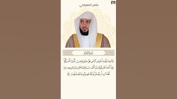 ماهر المعيقلي سورة البقرة آية 96 (ولتجدنهم أحرص الناس على حياة) | Mahmoud Okasha