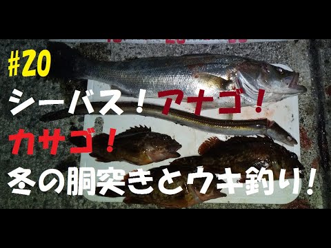 寄島漁港東エリア 初冬の夜釣りはスナムシが熱い Youtube