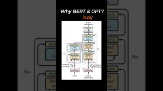Why BERT and GPT over Transformers
