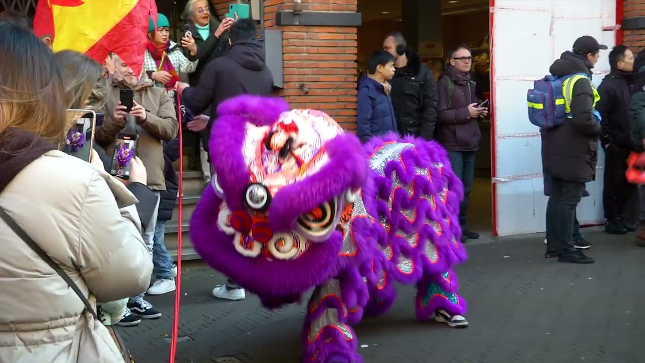 Chinees Nieuwjaar
