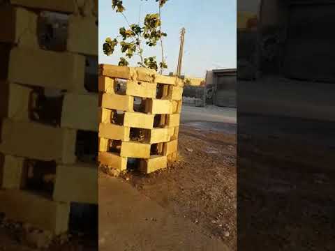 الرقه السباهيه بيت ابراهيم الحميد الشنان