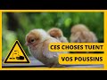 Ne faites jamais a dans votre ferme avicole