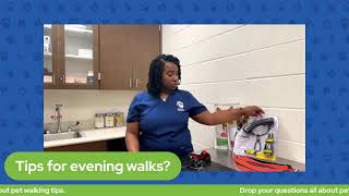 The Pet Pawcast - Pet Walking Tips