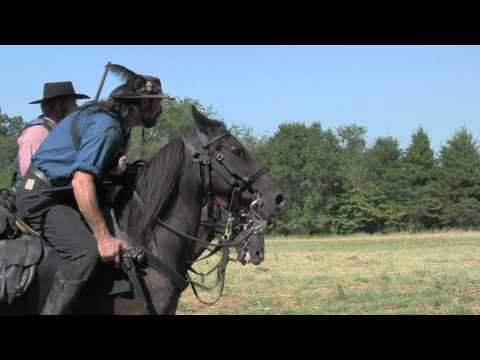 Allison Woods 2010 - The Calvary