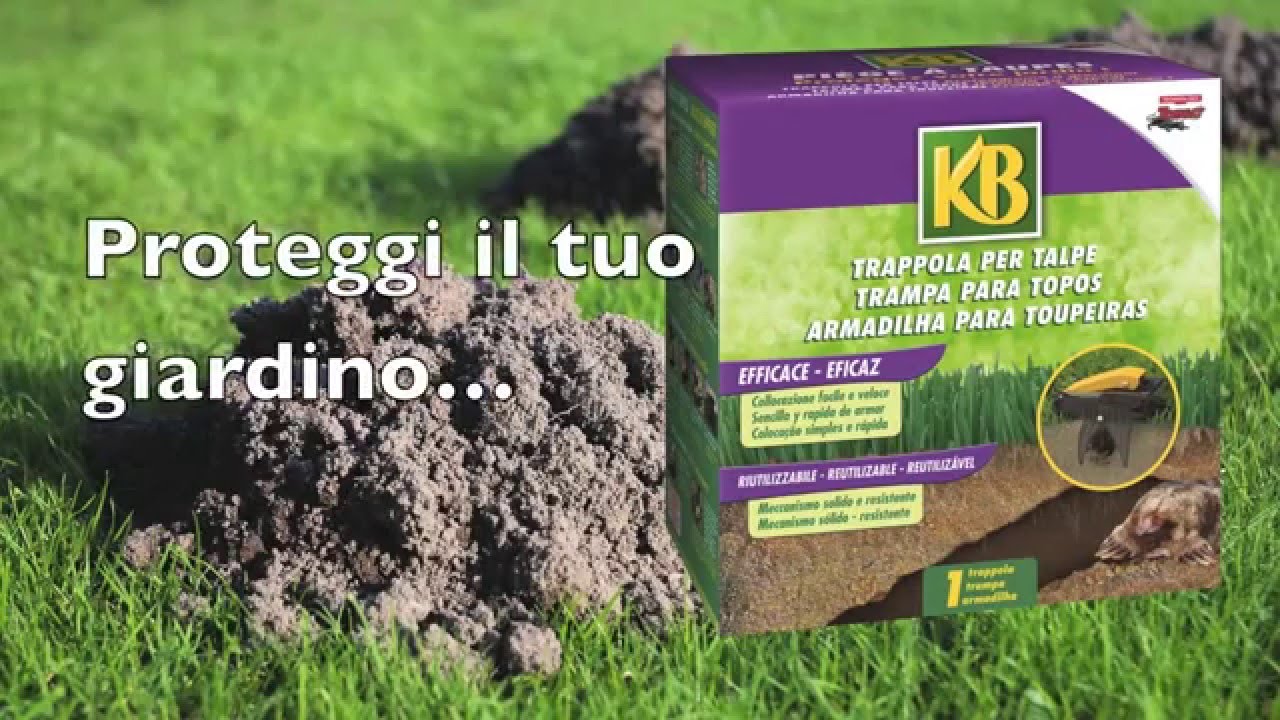Trappola per talpe - YouTube