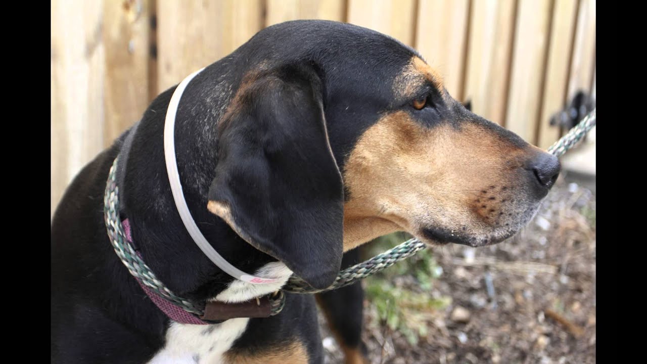 They're Happy to See You - Jazmyn Wormely