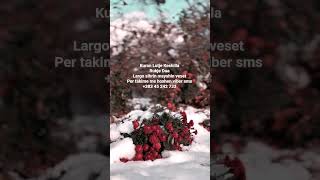 Kuran Lutje Dua - Sherim me Kuran #live #life