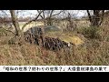 ここは「昭和の世界？終わりの世界？」大倭豊秋津島の果て、草と錆びだらけの名車達　フェアレディZ ２台　ジープ　ジムニー　スバル360　ビートル　ホンダMBX　【今年発見した中で最高の草ヒロヤード後編】