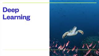 Artificial Intelligence for beginners Session 7 Wealth