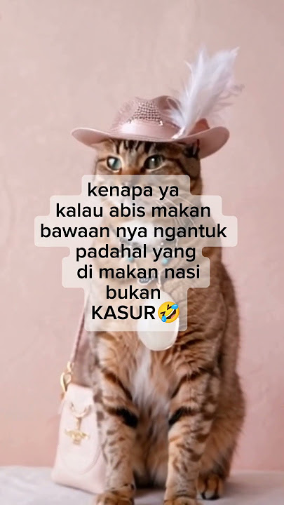 Story wa #funny #ngakak #storywalucu