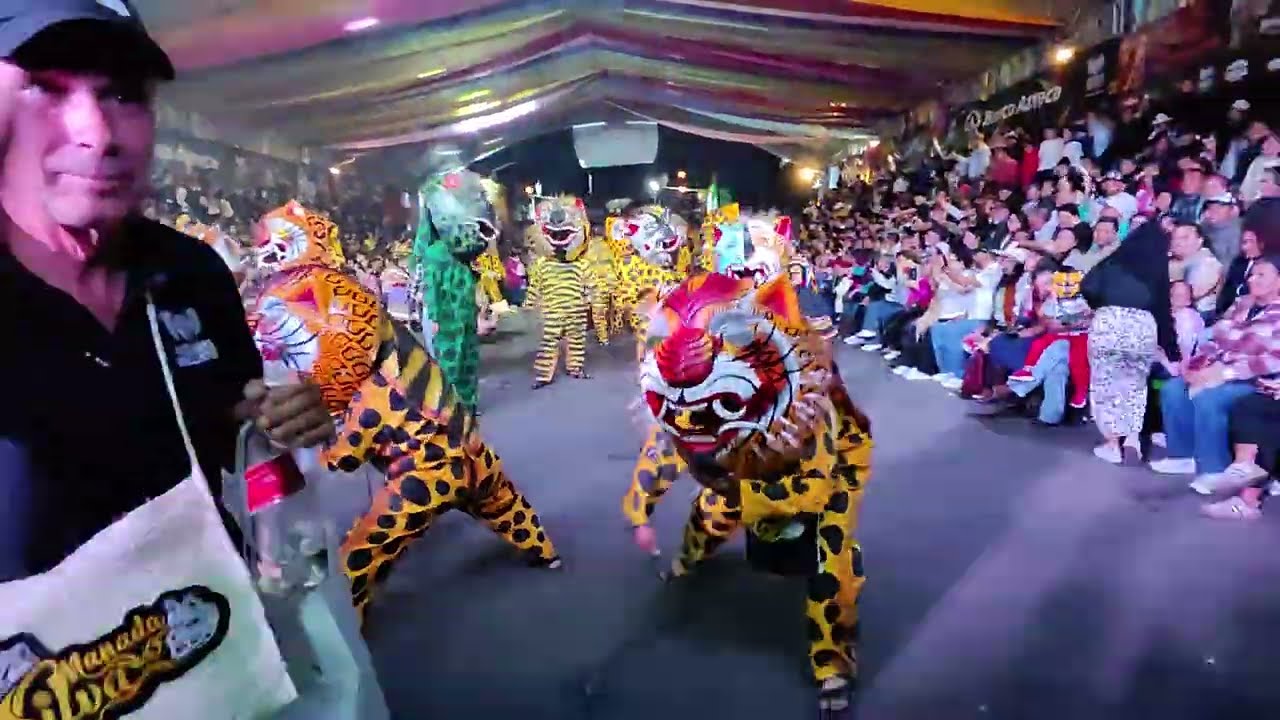 La Danza Tigrada de Chilapa, Guererro 20251116