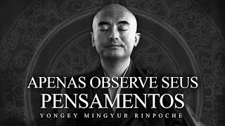 Yongey Mingyur Rinpoche - Apenas Observe seus Pensamentos