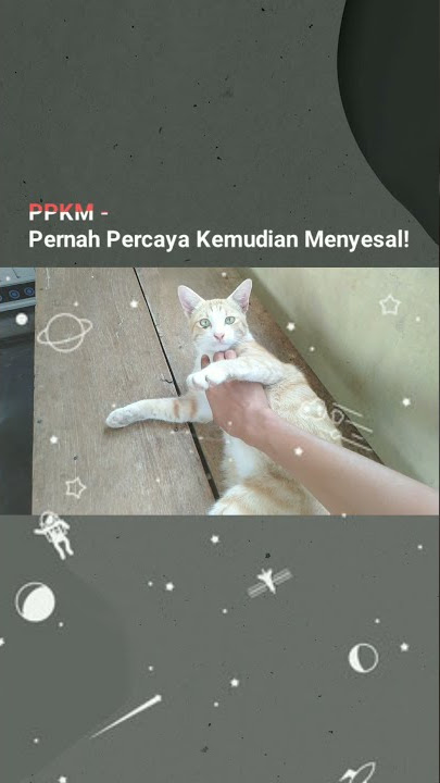 Story Wa Sad | PPKM - Pernah Percaya Kemudian Menyesal ! Viral Di Tik Tok #tiktok #viral #shorts