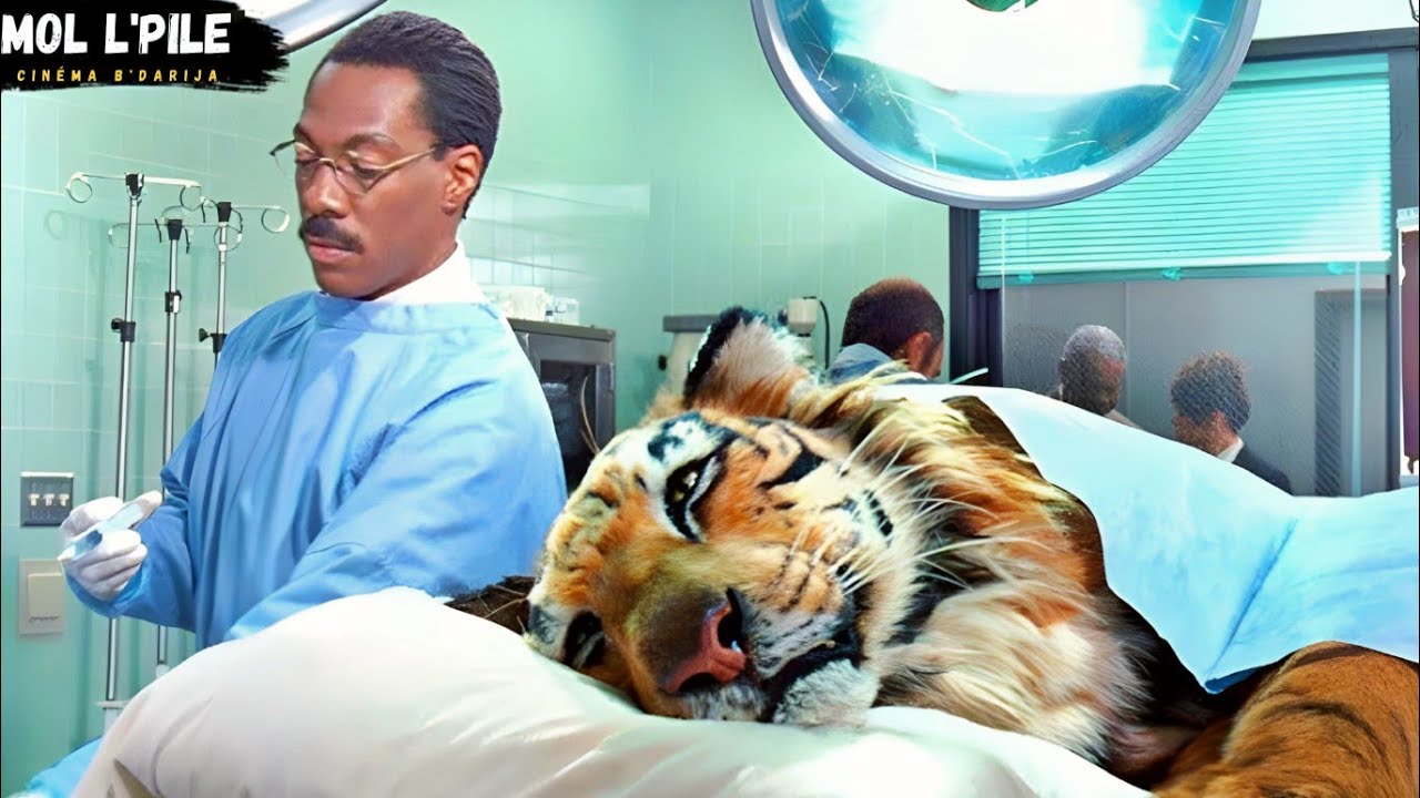 طبيب يستطيع التكلم مع الحيوانات، فيبدأ بمعالجتهم🥹 لكن الناس تتهمه بالجنون😱||ملخص🎦 𝐃𝐨𝐜𝐭𝐨𝐫 𝐃𝐨𝐥𝐢𝐭𝐭𝐥𝐞