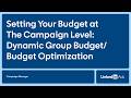 Setting Your Budget at The Campaign Level: Dynamic Group Budget (or Budget Optimization)