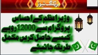 How to Apply For Ehsaas Emergency Cash Program Ehsas Program Online Registration Ehsas Program screenshot 5