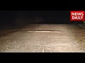 big snake in Road side