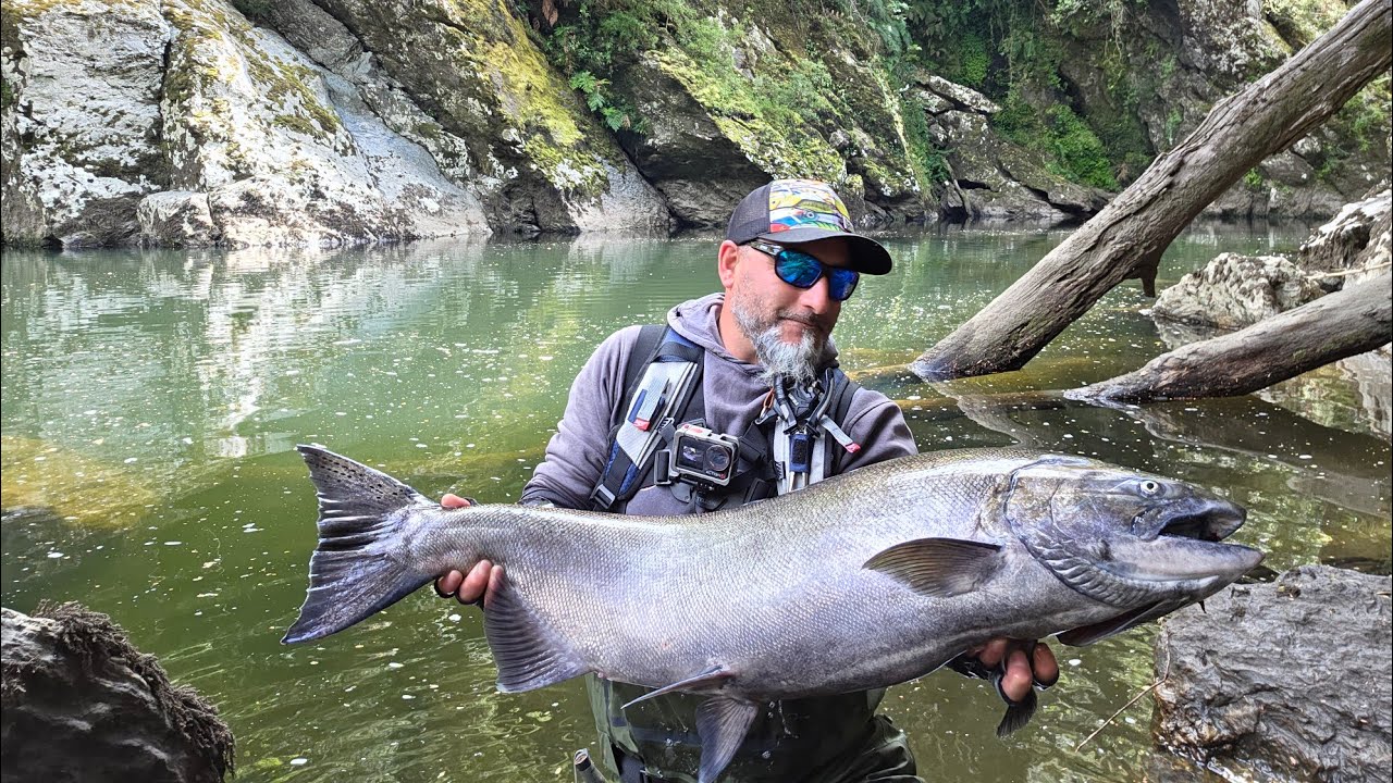 El retorno del rey, pesca del gran salmón chinook  chiloé 🇨🇱  17 kg  de puro poder 💪💪