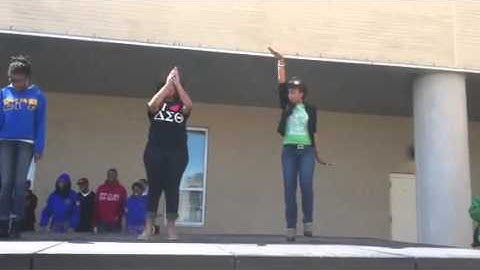 SORORITY UNITY STEP AT MSU