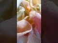 Making Coloured Prawn Cracker #shortvideo #youtubeshorts #Prawns