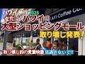 【ハワイ旅行】またあの大型ショッピングモールも取り壊し！もう２度と行けない、日本人観光客も大好きだったあの場所！今ハワイ旅行中の方は必見の映像です！|ハワイの今|ワイキキの今|