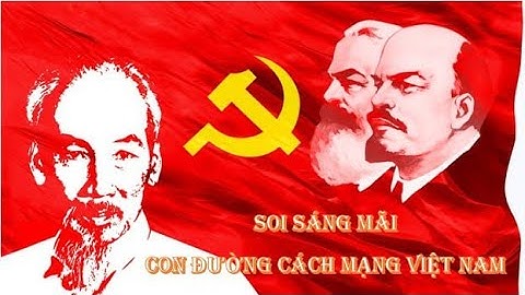 Soi sáng mãi con đường cách mạng Việt Nam