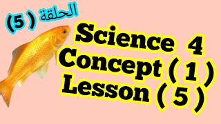 شرح Science للصف الرابع الإبتدائي( Unit 1) (Lesson 6)من كتاب المعاصر مع اجابه كتاب الامتحانات