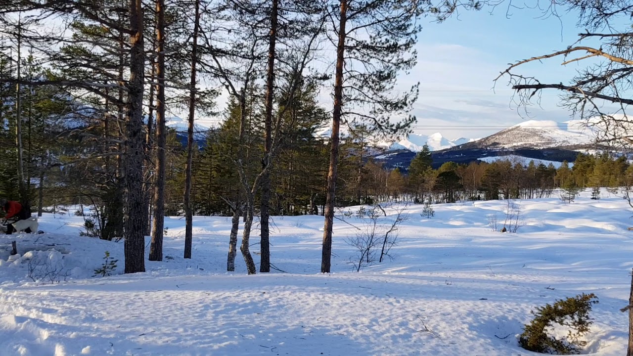Båling på Bondalseidet