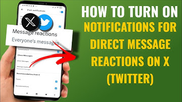 How to Turn On Notifications for Direct Message Reactions on X (Twitter) | English