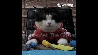 Rindu by Project Ateng (mycover)