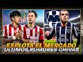 🔥REVIENTA EL MERCADO: ¿Denzell y Carrillo a Chivas? | Los últimos RUMORES de Chivas