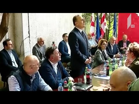 ოპოზიციის შეხვედრა