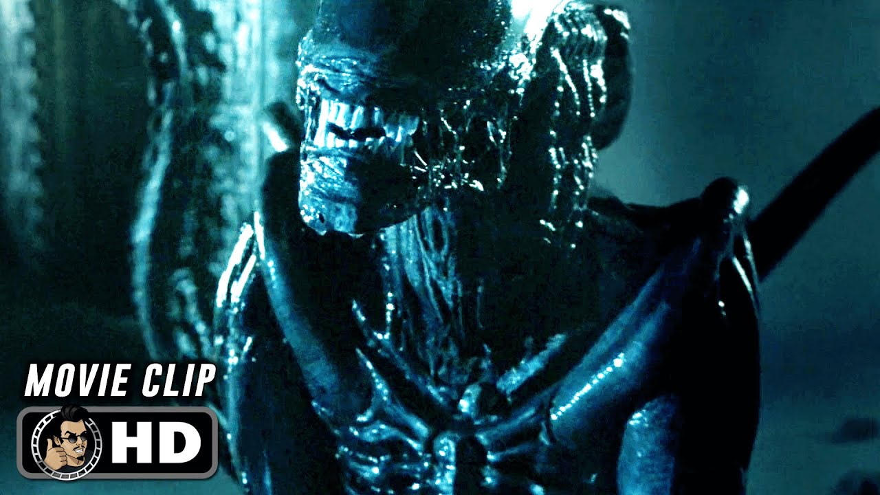 AVP ALIEN VS PREDATOR Clip   Xenomorph Kills Predator 2004