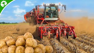 Potato Farming & Processing  Start to Finish