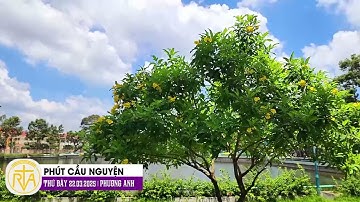 Phút Cầu Nguyện, Thứ Bảy 22/03/2025:  Ganh tị