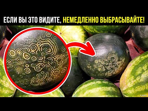 Видео: Почему внутренности яблок становятся коричневыми, когда подвергаются воздействию воздуха